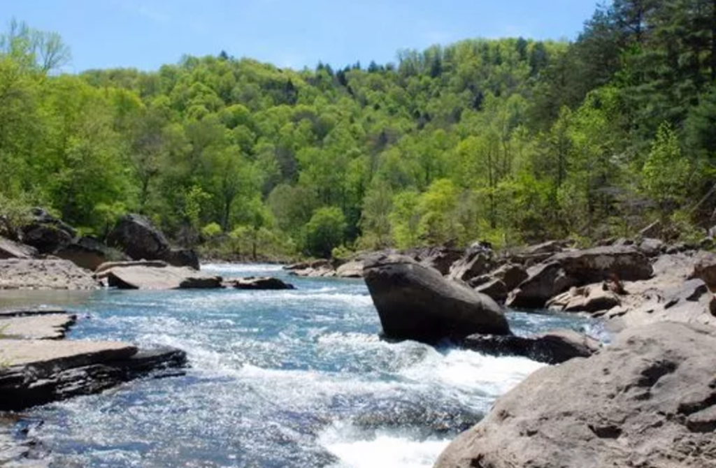 Bill Frist to Congress: Stand up for nature. Don’t starve EPA and conservation programs.