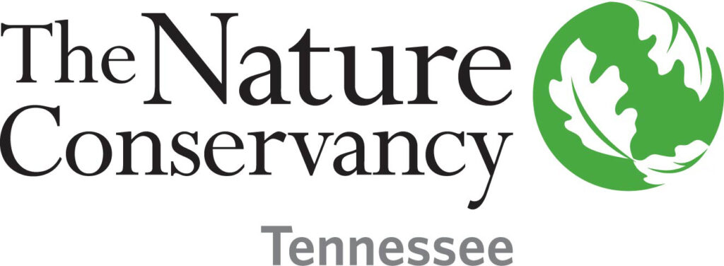 Partner Spotlight: Q & A with The Nature Conservancy in Tennessee